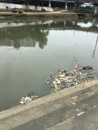 TRASH. Garbage dumped along Marikina River Park. Photo from the author  