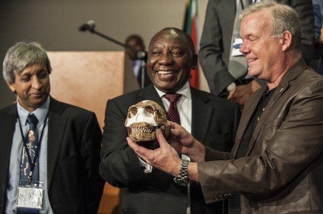 Spesies baru manusia purba ditemukan di Afrika Selatan: Homo naledi