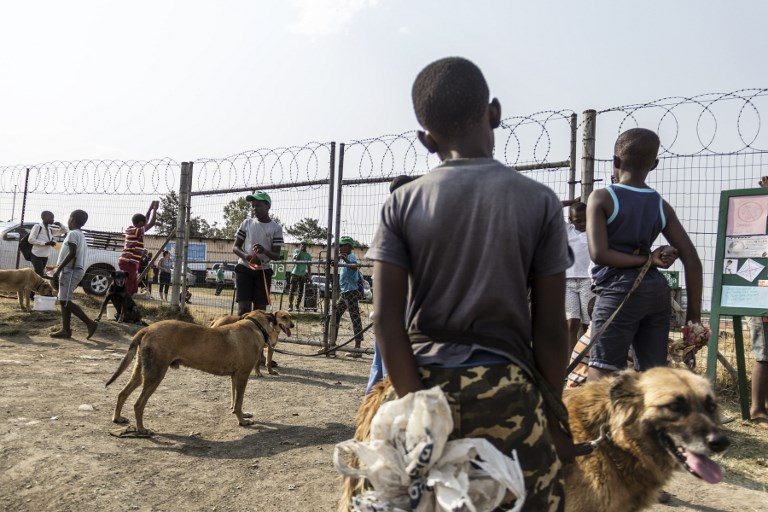 CHANGED. Children stand with their dogs outside the Zamuthule Primary School at the Mpophomeni township in Kwazulu-Natal, on September 22, 2017. Children from the area of Mpophomeni in KwaZulu-Natal province take part in the Funda Nenja dog training initiative which seeks to teach children in the township dog handling skills. The volunteer-run initiative meets every Friday and seeks to promote animal welfare in the community by teaching children about dog ownership and spreading awareness into the community through them. Photo by Tadeu Andre/AFP 