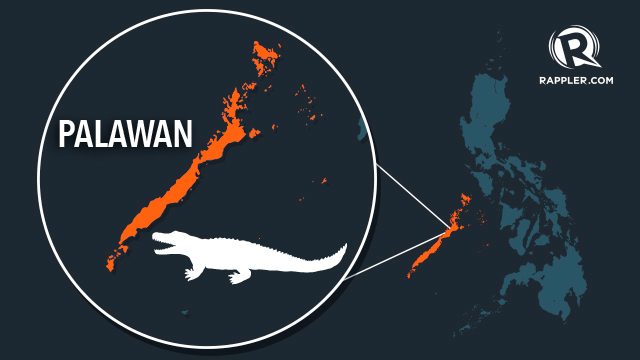 Crocodile kills fisherman in Palawan