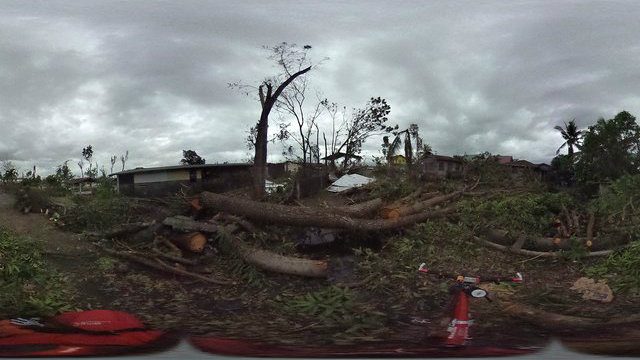 DEBRIS. Fallen trees are the landscape in Victoria, Oriental Mindoro. 360 degree image courtesy of Myles Delfin.  