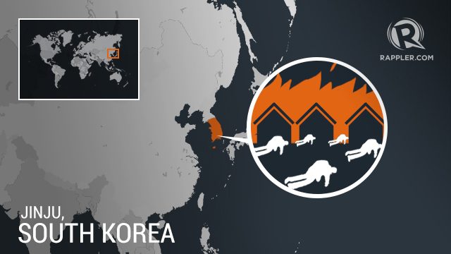 South Korea arsonist kills 5 neighbors as they flee fire – police