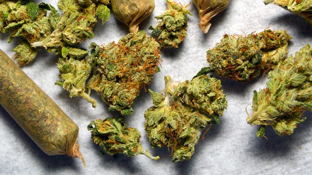 Legal marijuana off to blazing start in California