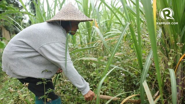 WATCH: Bukidnon farmers fight against hunger