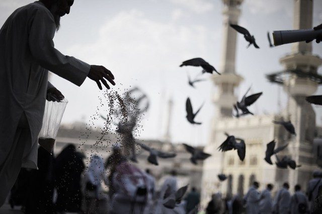 Saudi urges Muslims to defer hajj plans over virus