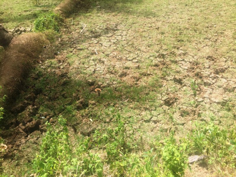 DROUGHT. Cracked soil in Pigcawayan municipality, North Cotabato. Farmers have had to forego planting due to the lack of rain and dried-up streams.  
