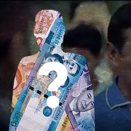 How did Binay fund his 2010 campaign?