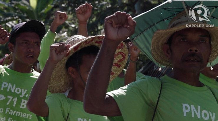 JUSTICE FOR FARMERS. A 2012 Supreme Court decision declares that the P71-billion coco levy funds must be used for programs directly benefiting coconut farmers. This was enforced, however, in 2014 when the SC issued an Entry of Judgment.   