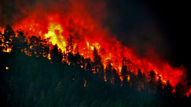 HOTTER THAN EVER. Wildfires consume an entire forest. Photo from Wikicommons 