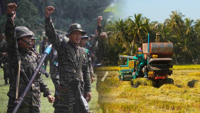 MILF camps get farming equipment, support