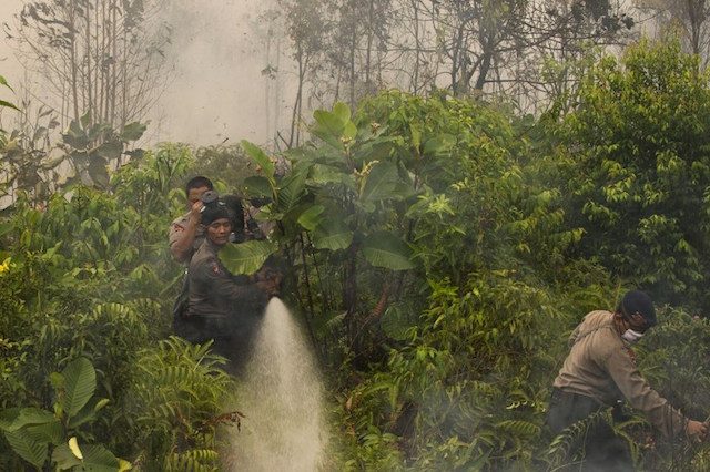 Jokowi instruksikan atasi kebakaran lahan gambut