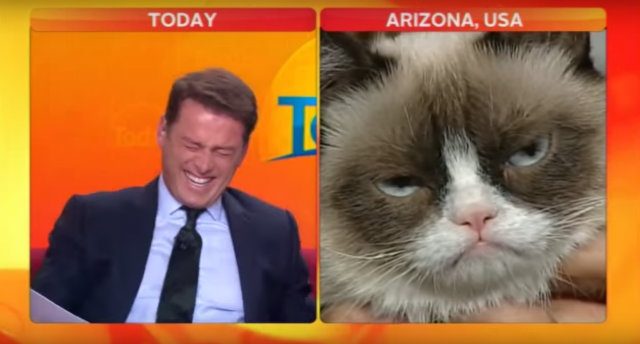 Webhits: Anchor interviews Grumpy Cat, loses it