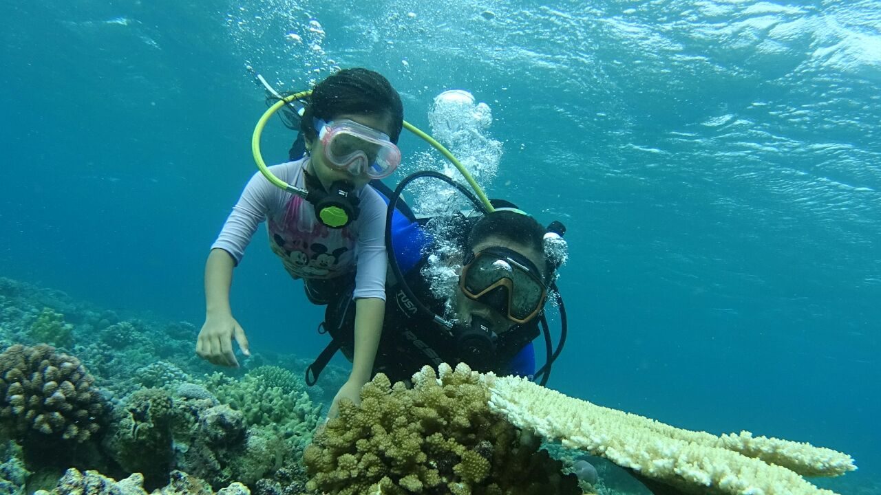 FOTO: Indahnya pesona bawah laut Pantai Pinang