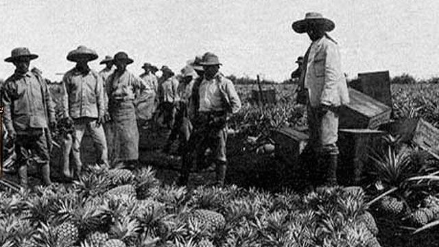 hawaii sugar plantation immigrants