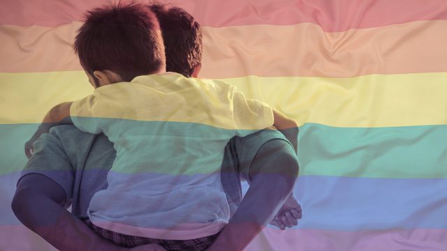 Gay Singaporean man wins right to adopt surrogate son