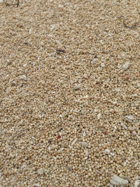 PEPPER SAND. This is what Kuta Beach in Lombok is known for.  