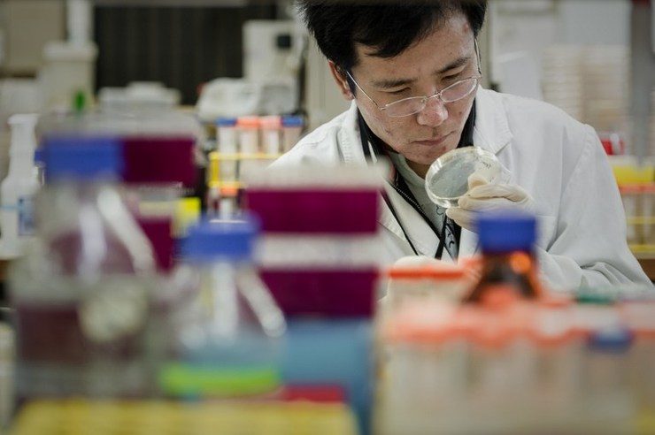 This picture taken on March 11, 2013 shows a man working at a laboratory of Hong Kong University's Department of Microbiology at the Queen Mary hospital in Hong Kong. Philippe Lopez/AFP