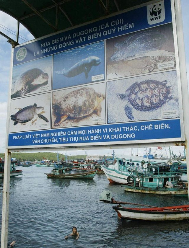 ANTI-POACHING. A World Wildlife Fund (WWF)'s billboard reading "Vietnamese law bans fishing and trading of sea turtles and dugong" is displayed at a port in southern island of Phu Quoc, 15 September 2004. File Photo by Hoang Dinh Nam/AFP