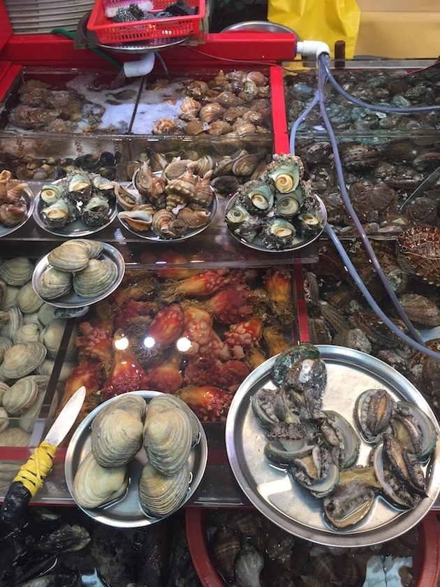 SEE SHELLS. Busan's waters are chockfull of fresh seafood. 