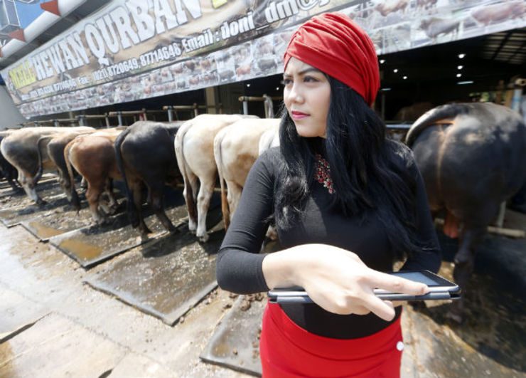 Indonesians snap up ‘luxury’ cows for Muslim Eid festival