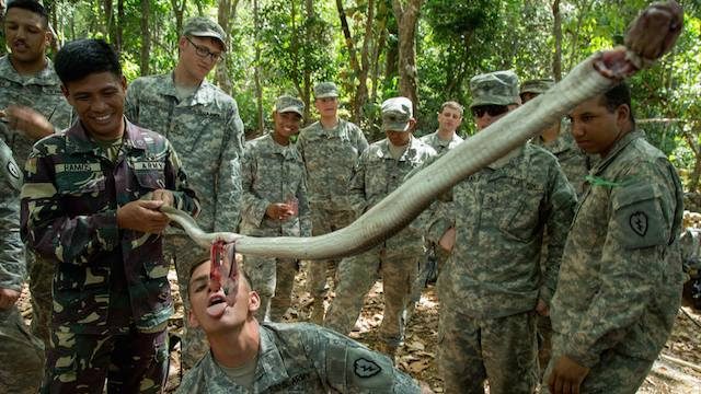 Balikatan means teaching US troops how to drink cobra blood