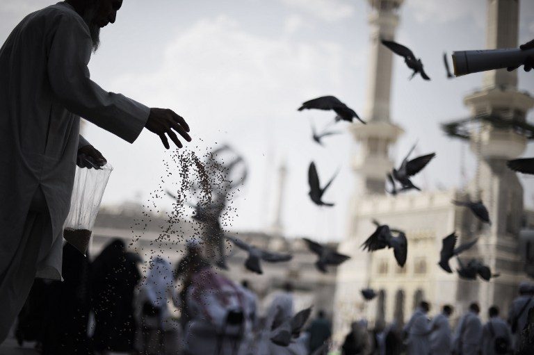 A Muslim pilgrim feeds pigeons as worshipers arrive for a prayer at Mecca's Grand Mosque, home of the Kaaba, on September 29, 2014 as hundreds of thousands of Muslim worshipers started pouring into the holy city for the annual hajj pilgrimage. Mohammed al-Shaikh/AFP