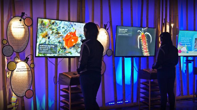 Meet creatures from the PH’s top marine hotspot in this local exhibit