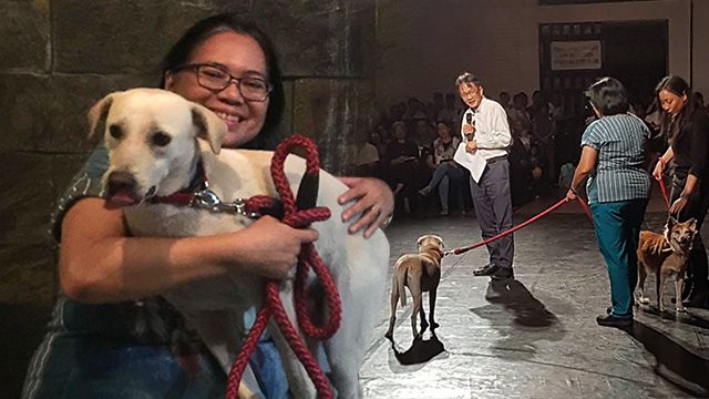Dogs offer emotional support for U.P. Diliman students, staff