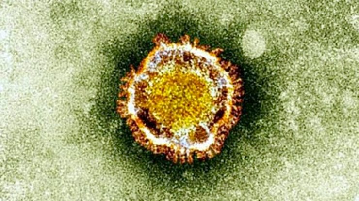 MERS still ‘significant’ threat to Saudi
