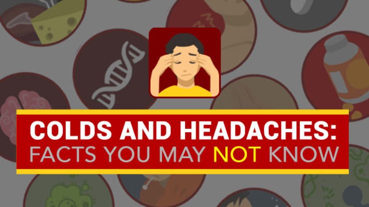 INFOGRAPHIC: Things you may not know about colds and headaches
