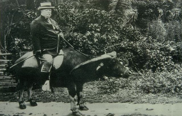 Howard Taft riding a carabao. Photo from the University of California.