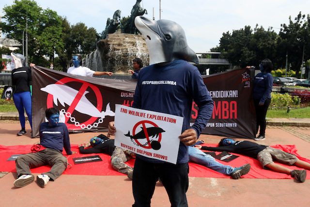 SIRKUS LUMBA-LUMBA. Para aktivis tengah melakukan aksi teatrikal menolak keberadaan aktivitas sirkus lumba-lumba di depan Gedung Indosat. Foto oleh Rivan Awal Lingga/ANTARA 