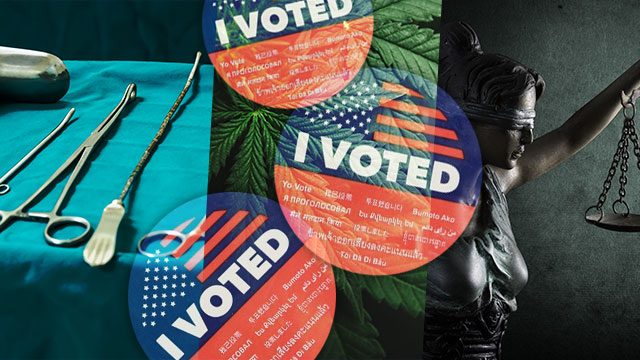 Marijuana, abortion, greyhounds: The local issues on U.S. midterm ballots