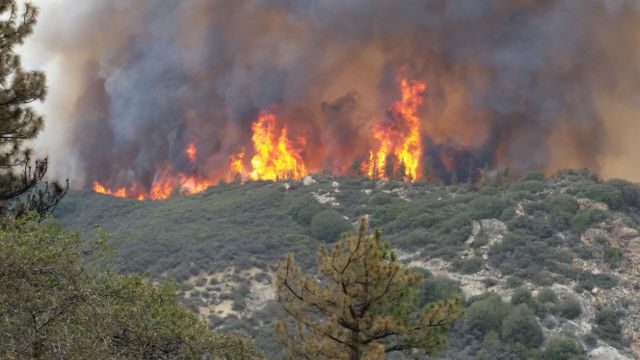 Thousands flee California fires