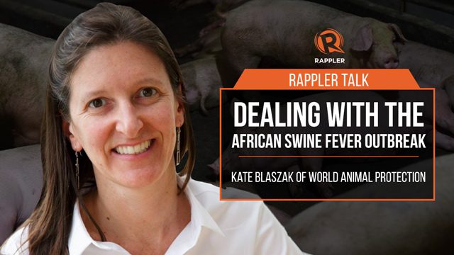 Rappler Talk: Dealing with the African swine fever outbreak