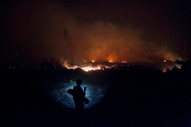 Indonesia wRap: Kerugian akibat kebakaran hutan dan revisi UU KPK masuk prioritas DPR