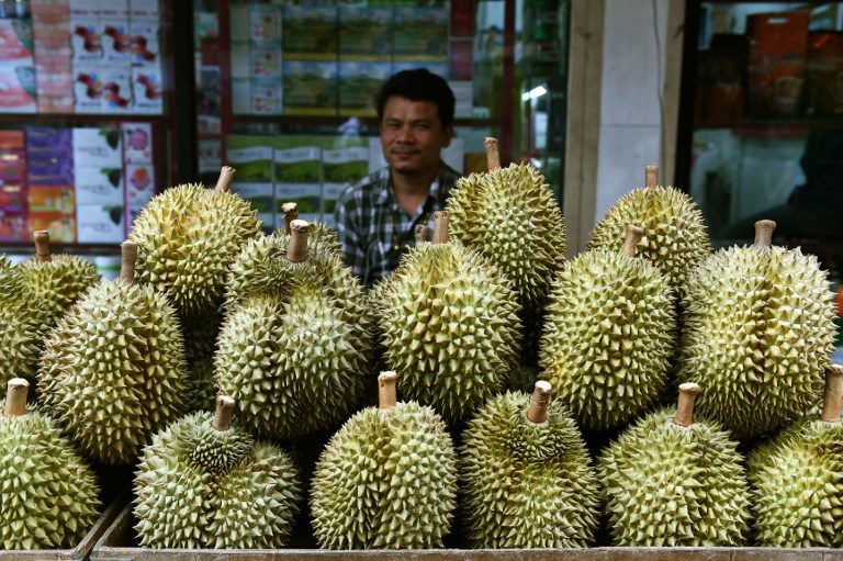 Final Fruit-ier: Thailand sends smelly durian into space
