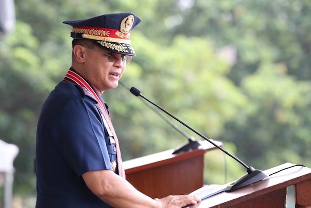 PNP chief Gamboa sacks senior Central Visayas cops for playing golf on weekdays