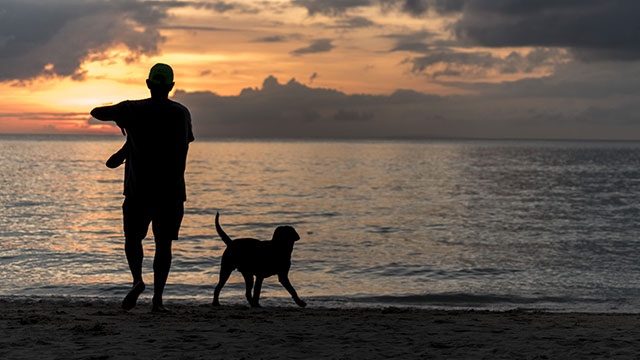 Malay execs eye amending rules on pet ownership in mainland, Boracay