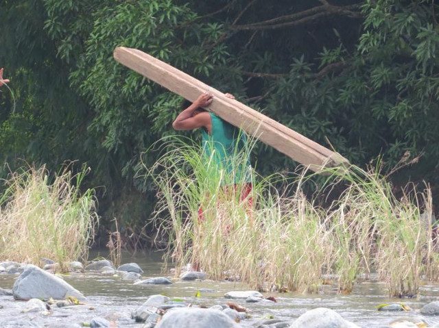 LOGGING. An illegal logger carries lumber through the watershed. Photo from Fredd Ochavo 