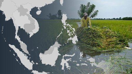 Rice self-sufficiency: A question of geography?