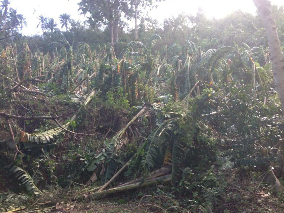 Oriental Mindoro takes stock of Typhoon Nina damage