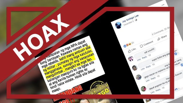 HOAX: CHR chair says ‘rights of NPA rebels should not be violated’