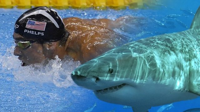 Michael Phelps to race against a great white in ‘Shark Week’ challenge