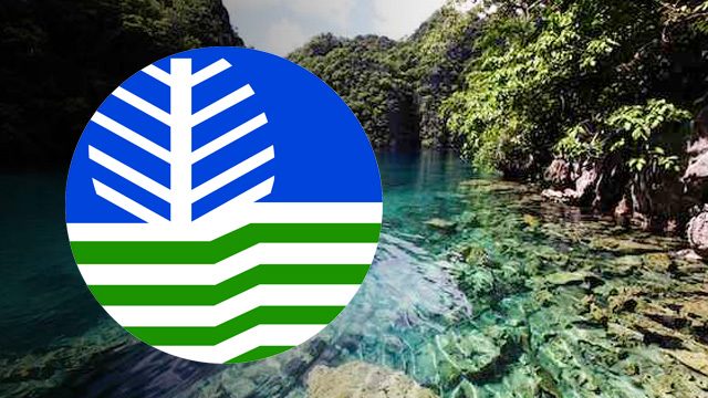 DENR begins retrieval of trees cut by Palawan mining firm
