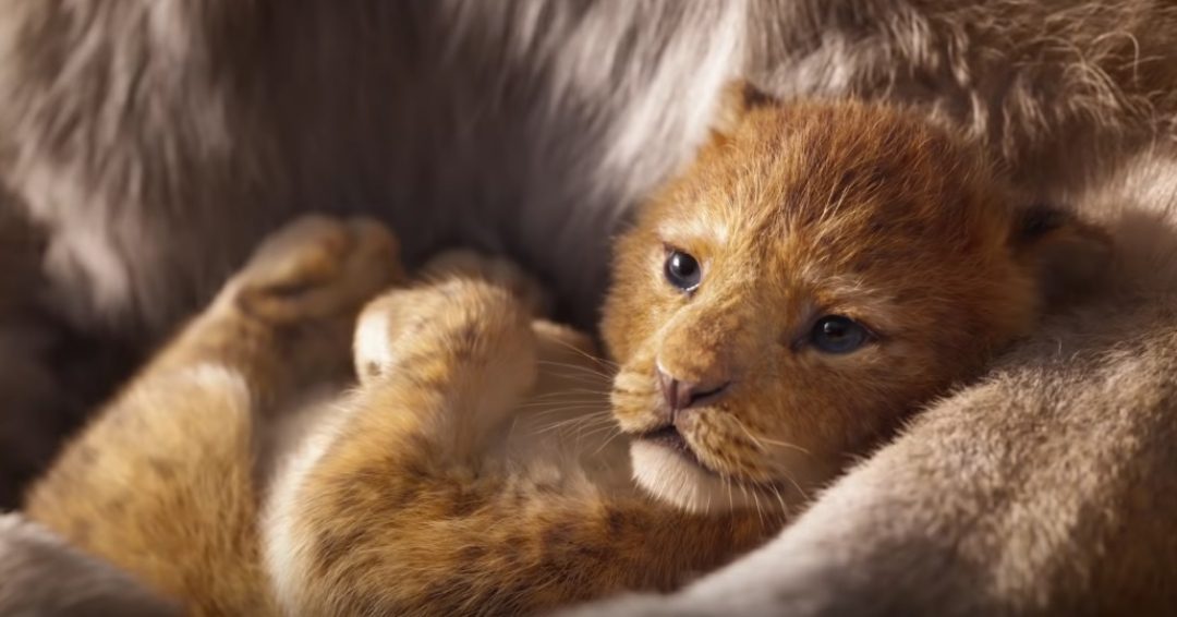 WATCH: Simba is back in ‘The Lion King’ live-action remake trailer
