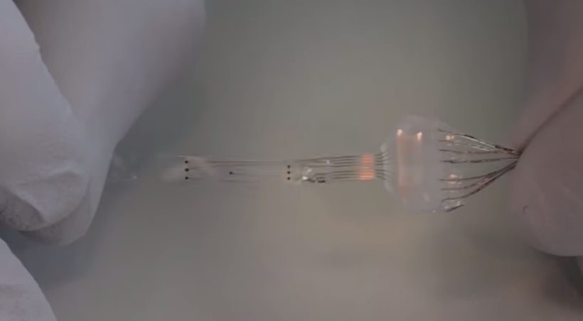Scientists develop flexible spinal implant to restore walking