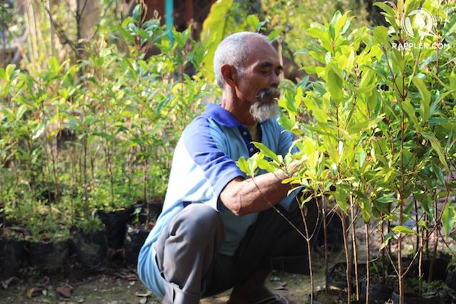Kerja keras Sadiman menanam pohon, berbuah penghargaan Kalpatru