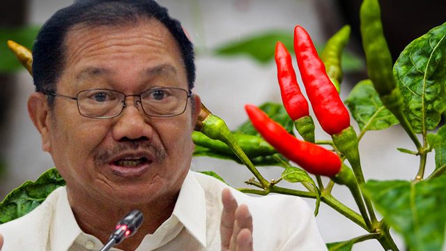 Expensive sili in markets? Plant your own, says Piñol