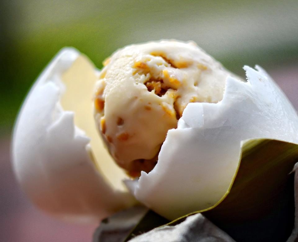 CROCODILE ICE CREAM. Would you eat something sweet made from crocodile egg? Photo courtesy of Sweet Spot